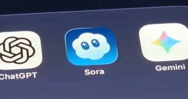 تحديث قادم على Sora يتيح إنتاج محتوى لحيوانك الأليف