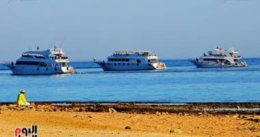 وحدي وماشي كده وسايبها على الله