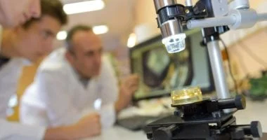 علماء يطورون أول نموذج كامل لدماغ بشري اصطناعي