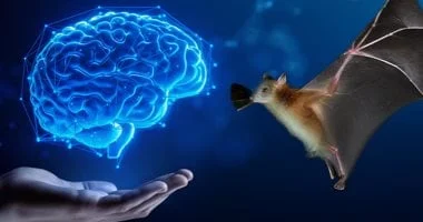 هل يفتح الذكاء الاصطناعي باب فهم لغات الحيوانات بعد لغة الأسود؟