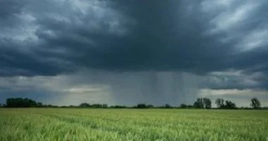 كيف يؤثر مصدر المطر في قدرة الأراضي على مواجهة الجفاف؟