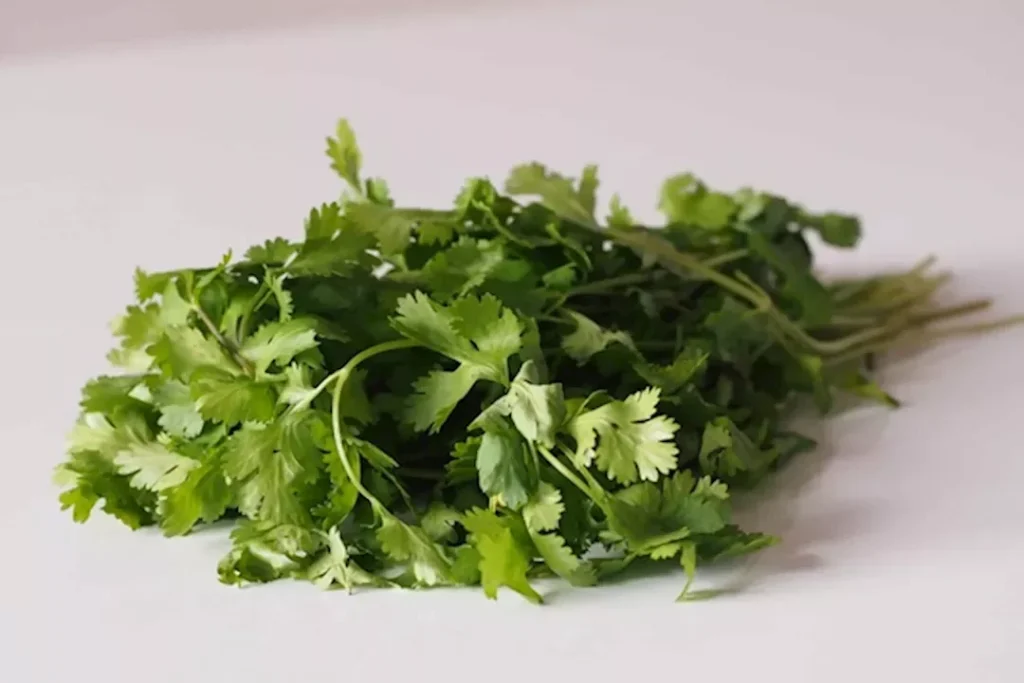 هل تفيد الكزبرة في نقص الحديد؟