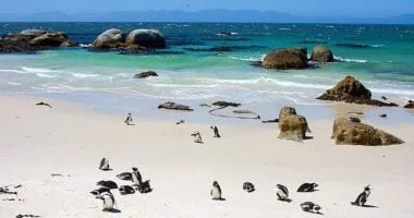 أفضل شواطئ العالم في 2026 بحسب جوائز المسافرين