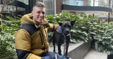 مبرمج يستعين بـChatGPT وAlphaFold لتطوير لقاح سرطان لعلاج كلبته