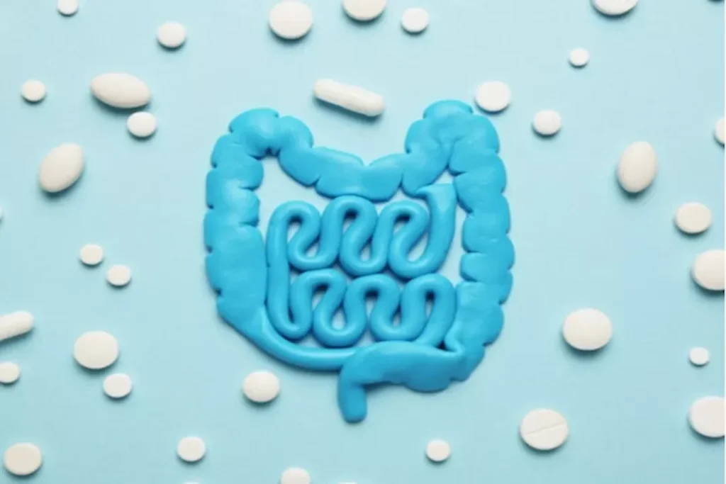 مكملات غذائية للأمعاء: 4 أنواع تدعم صحتها وتعالج الإمساك