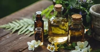 طرق طبيعية لطرد الناموس والذباب من المنزل وآمنة لصحة أسرتك