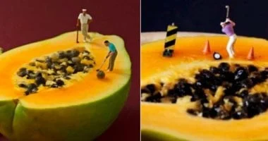 نزاع قضائي بين مصورين بسبب مجسمات مصغرة فوق الفاكهة